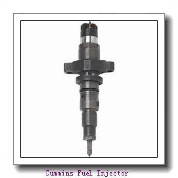 3080429 Cummins Fuel Injector