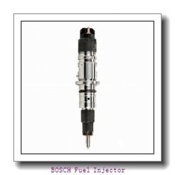 0433172053 BOSCH Fuel Injector #1 image