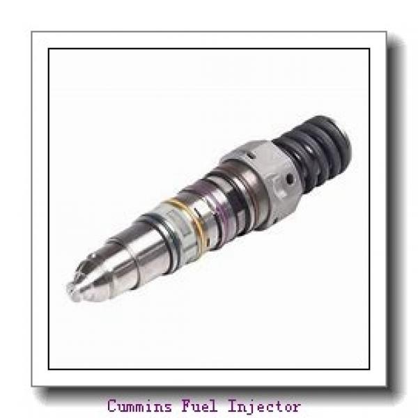 4062569 Cummins Fuel Injector #1 image